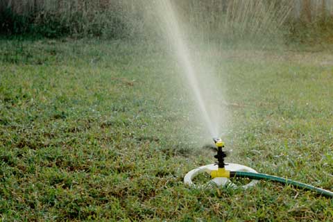 sprinkler