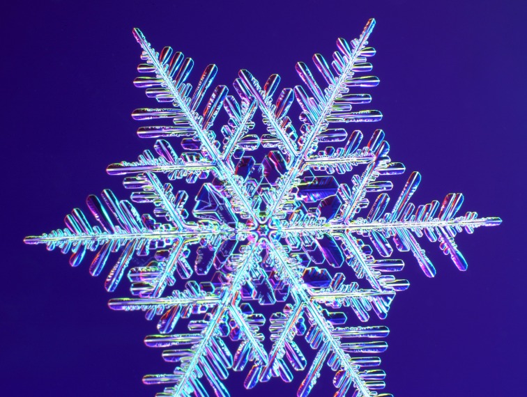 Photo courtesy of SnowCrystals.com