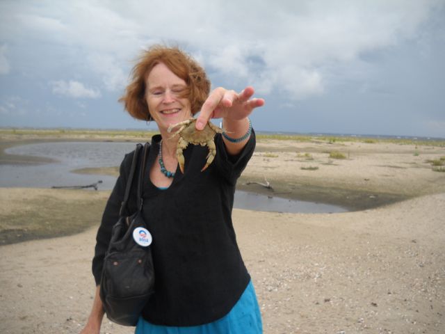 crabby 1