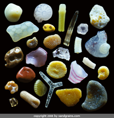 Magnified grains of sand.